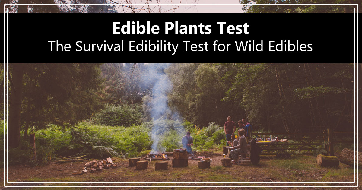 Edible Plants Test The Survival Edibility Test for Wild Edibles